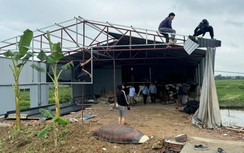 Vĩnh Phúc: Ráo riết xử lý xây dựng trái phép trên đất nông nghiệp tại huyện Vĩnh Tường