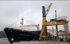 Chi lớn hút tàu mở tuyến, hàng container qua cảng biển Thanh Hoá tăng trưởng thế nào?