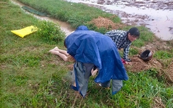 20 ngày, 4 người chết do sét đánh ở Hà Tĩnh, cơ quan chức năng cảnh báo "6 không"