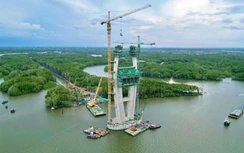 Chính thức chuyển 2,5ha rừng bờ Đồng Nai để xây cầu Phước An