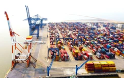 Huyện đảo Cát Hải trước ngày trở thành đặc khu kinh tế