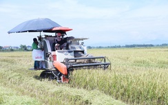 Năng suất lúa ở Hà Tĩnh tăng cao nhờ ứng dụng khoa học kỹ thuật