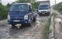 Đường gom đê hữu sông Thái Bình xuống cấp, người dân khốn khổ khi đi lại