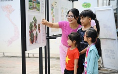 Ưu tiên bố trí ngân sách để tổ chức dạy học 2 buổi/ngày