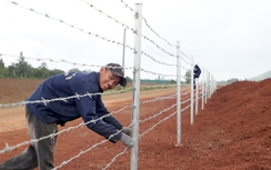 Cao tốc Khánh Hòa - Buôn Ma Thuột: Bắt đầu thi công hệ thống ATGT, nỗ lực về đích đúng hẹn