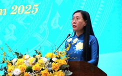 Bí thư Tỉnh uỷ Quảng Ngãi, Gia Lai chỉ đạo gì tại "kỳ họp đặc biệt"?