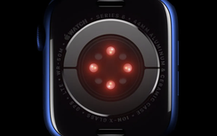 Apple phát triển mô hình AI theo dõi sức khỏe người dùng với độ chính xác cao