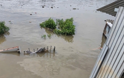 Cà Mau: Sạt lở cuốn 5 căn nhà trôi sông lúc rạng sáng, dân trở tay không kịp