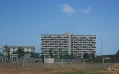 Hà Tĩnh cho thuê đất ngắn hạn, doanh nghiệp mừng "như bắt được vàng"