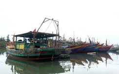 Hà Tĩnh: Xử phạt hai thuyền trưởng tàu cá 125 triệu đồng