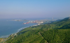 Khánh Hòa rà soát toàn bộ dự án liên quan đến đất rừng tại Khu Kinh tế Vân Phong