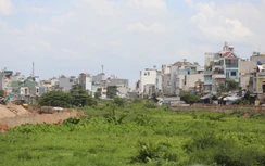 Cận cảnh dự án kênh Tham Lương - Bến Cát - Rạch Nước Lên chậm tiến độ, cỏ mọc um tùm