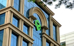 Cổ phiếu Novaland "cháy hàng" trước thông tin phát hành để hoán đổi nợ 2.600 tỷ đồng