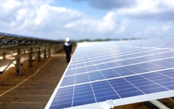 Tầm nhìn "xanh" từ bộ tiêu chí môi trường của Chính phủ và hành động của Agribank