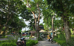 Cần mạnh tay xử lý tình trạng chiếm dụng công viên, hồ nước ở Hà Nội