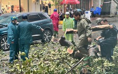 Giông lốc càn quét TP.HCM: Nhiều căn nhà tốc mái, cây xanh, cột điện ngã đổ