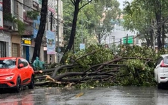 Đồng Nai: Nhiều nhà dân bị tốc mái, cây đổ đầy đường sau mưa dông