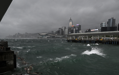 Bão Wipha đổ bộ, Hong Kong (Trung Quốc) phát cảnh báo bão cấp cao nhất