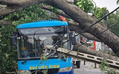 Hà Nội: Khẩn trương khắc phục hậu quả sau giông lốc, giải cứu ô tô, xe buýt mắc kẹt