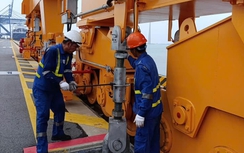 Nhiều cảng biển tại Hải Phòng, Quảng Ninh tạm dừng làm hàng để ứng phó bão số 3