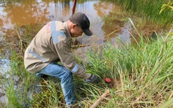 Nhiều xã ở Hà Tĩnh đã cắm mốc đường sắt tốc độ cao Bắc - Nam