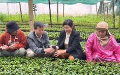 Đại hội Đảng bộ xã “nhận cây giống, không nhận hoa”