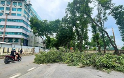 Hà Nội khẩn trương khắc phục sự cố do bão số 3, cảnh báo nguy cơ sạt lở đê điều