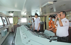 Hoa tiêu hàng hải và áp lực dẫn tàu “xanh”