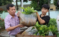 Hàng trăm nghìn cây giống trao tay đồng bào Tu Mơ Rông thay cho hoa chúc mừng đại hội
