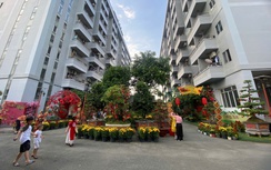 TP.HCM: Chủ đầu tư được hỗ trợ toàn bộ lãi suất khi làm nhà ở xã hội