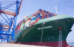 Doanh nghiệp cảng biển: Doanh thu khởi sắc, lợi nhuận phân hóa