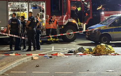 Phối hợp làm rõ vụ tai nạn khiến hai anh em song sinh người Việt thiệt mạng tại Đức