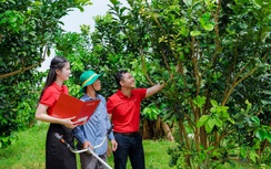 Agribank tích cực hỗ trợ hộ kinh doanh chuyển đổi thành doanh nghiệp