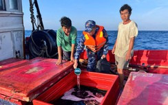 Cà Mau: Bắt giữ tàu cá vận chuyển 40.000 lít dầu không rõ nguồn gốc trên biển