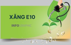 Infographic: Xăng E10 phù hợp xe nào?