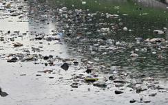 Hà Nội: Rác ngập ngụa mặt sông Tô Lịch sau trận mưa lớn