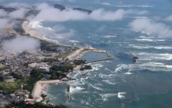 Đại sứ quán Việt Nam tại Nhật Bản khuyến cáo công dân phòng chống sóng thần