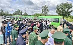 Đưa về nước 85 người Việt Nam bị lôi kéo sang Campuchia làm “việc nhẹ lương cao”