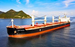 Thị trường tàu hàng khô biến động, nhiều doanh nghiệp giảm lợi nhuận