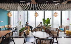 Văn phòng hạng A dưới áp lực xanh hóa: Saint-Gobain lập chuẩn sống mới không gian làm việc