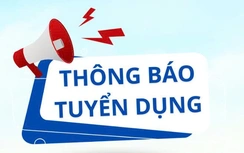 Ban Quản lý dự án Hàng hải và Đường thủy thông báo tuyển dụng viên chức
