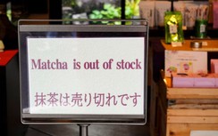 Giá cả tăng lên mức kỷ lục, Nhật Bản vẫn không đủ trà xanh để bán