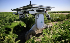 Robot AI thay thế người diệt cỏ và làm nông nghiệp