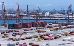 Tổng thống Mỹ tuyên bố áp thuế 25% với Nhật Bản và Hàn Quốc