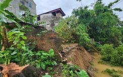 Chủ tịch tỉnh Bắc Ninh chỉ đạo khẩn trương khắc phục sự cố sạt lở đê sông Cầu