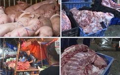 Công an Hà Nội phá đường dây tuồn hàng tấn thịt lợn bệnh ra thị trường, bắt 4 người