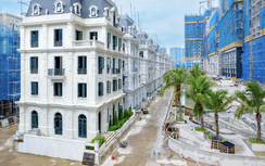 Toàn cảnh tiến độ ba dự án trọng điểm dòng thấp tầng Noble Palace của Sunshine Group
