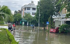 Thanh Hóa: Chỉ đạo kiểm tra, xác minh, xử lý nội dung Báo Xây dựng phản ánh