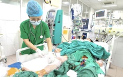 Chủ quan với vết thương nhỏ xíu, nhiều người nguy kịch