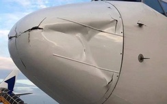 Giảm thiểu các vụ chim va đập vào tàu bay